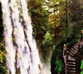 -香港节点加速器推荐