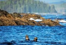 gta5用uu加速器只有香港节点-香港节点加速器推荐