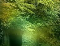 HK香港VPN推薦-香港节点加速器推荐