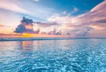 薄荷加速器没香港节点-香港节点加速器推荐