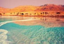 香港属于什么物流节点-香港节点加速器推荐