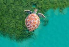 怎么电脑使用香港节点-香港节点加速器推荐