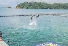 极品飞车19 香港节点-香港节点加速器推荐