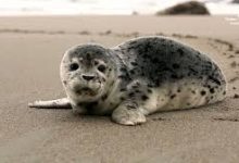 uu加速香港节点丢包40%-香港节点加速器推荐