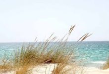 gtaol香港节点能赌吗-香港节点加速器推荐