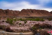 香港节点-香港节点加速器推荐