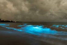 香港节点名称-香港节点加速器推荐