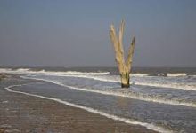 ssr香港节点有什么用-香港节点加速器推荐