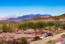 香港的节点-香港节点加速器推荐