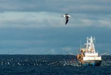 我用的美国节点显示香港-香港节点加速器推荐