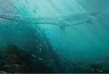 亚服连接香港节点-香港节点加速器推荐