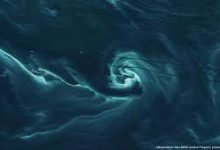 香港  节点  免费-香港节点加速器推荐