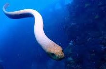 gate.io香港节点-香港节点加速器推荐