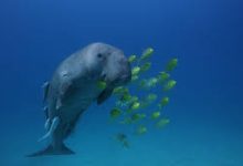 怎么连香港节点-香港节点加速器推荐