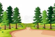 阿里云香港节点-香港节点加速器推荐