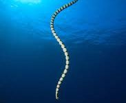 香港ss游戏节点-香港节点加速器推荐