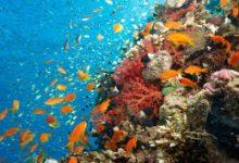 香港橘子节点host-香港节点加速器推荐