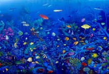 ssr节点香港不限速-香港节点加速器推荐