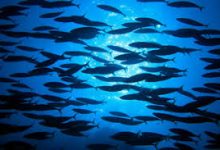 香港高速节点6G型-香港节点加速器推荐