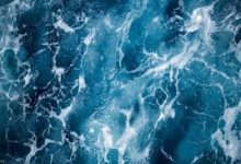 香港 博士申请 提前批 时间节点-香港节点加速器推荐