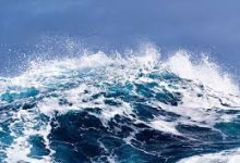 香港还是日本节点-香港节点加速器推荐