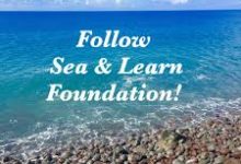 香港服务器加速什么节点-香港节点加速器推荐