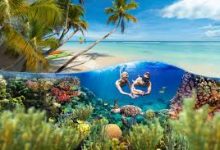 香港港督换任时间节点-香港节点加速器推荐