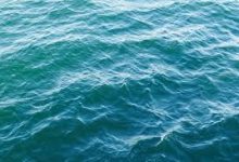 注册ps港服香港节点-香港节点加速器推荐