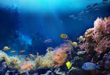 snap vnp香港节点-香港节点加速器推荐