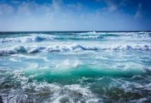 香港湿地公园主要节点-香港节点加速器推荐