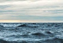 手机连香港节点-香港节点加速器推荐