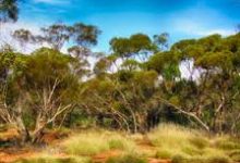 免费香港节点-香港节点加速器推荐