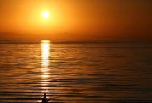 gta5香港节点玩不了-香港节点加速器推荐