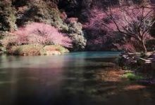 香港免费节点-香港节点加速器推荐