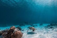 机房在香港节点需要公安备案吗-香港节点加速器推荐