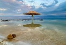 ss免费香港节点-香港节点加速器推荐