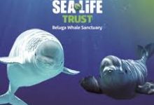 uu加速器如何改香港节点-香港节点加速器推荐