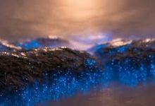 华为云香港节点怎么样-香港节点加速器推荐