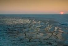 小火箭节点购买香港-香港节点加速器推荐