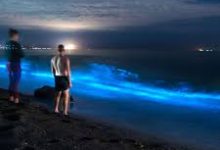 uu加速器香港节点哪个好-香港节点加速器推荐