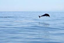 香港节点是不是都丢包-香港节点加速器推荐