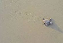 网易uu为什么默认香港节点-香港节点加速器推荐