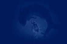 香港节点免费连接-香港节点加速器推荐