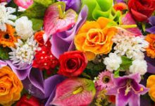 ps4游戏香港节点-香港节点加速器推荐