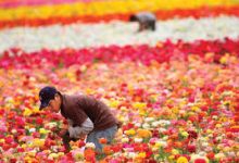 黎明杀机香港节点-香港节点加速器推荐