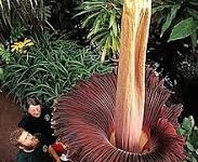 网易uu剑灵泰服全是香港节点-香港节点加速器推荐