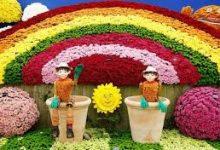 绝地求生怎么选择香港节点-香港节点加速器推荐