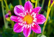 如何选择香港节点-香港节点加速器推荐