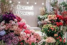 绝地求生更新那个节点是香港-香港节点加速器推荐