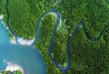 稳定的香港节点ss账号-香港节点加速器推荐